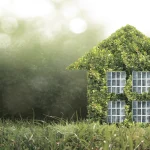 Home Eco-Friendly