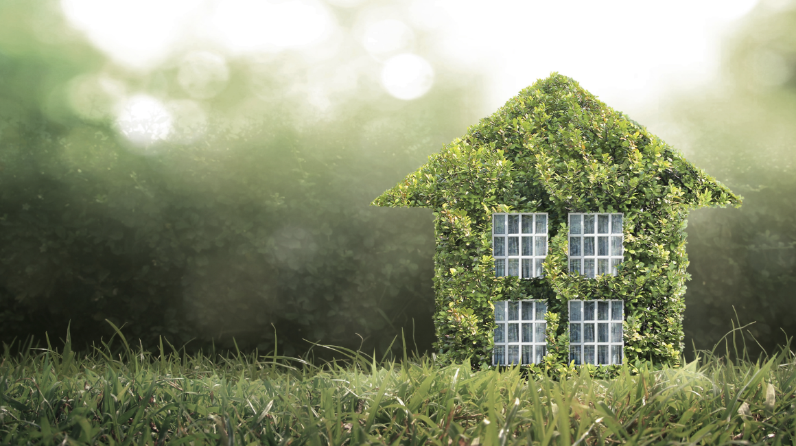 5 Sustainable Swaps to Make Your Home Eco-Friendly